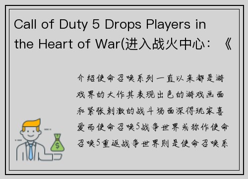 Call of Duty 5 Drops Players in the Heart of War(进入战火中心：《使命召唤5》玩家的热血之地)